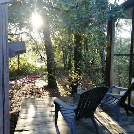 Chalet Natura Tiny House Porto Valongo (Porto)