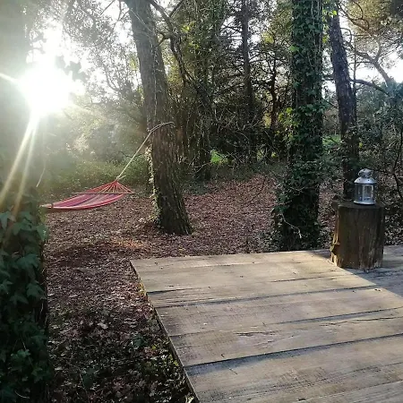 Chalet Natura Tiny House Porto