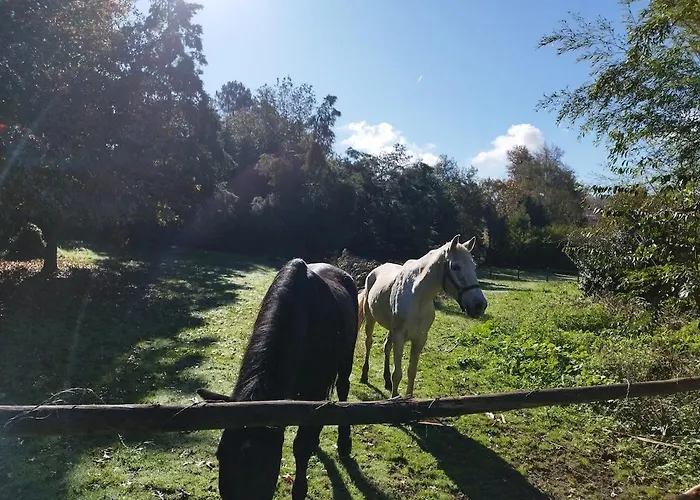 Chalet Natura Tiny House Porto *
