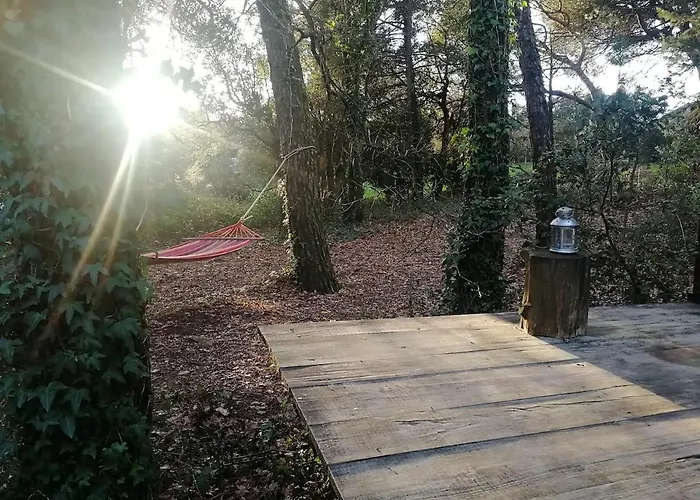 Chalet Natura Tiny House Porto